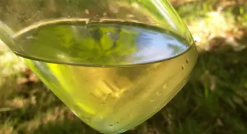 Aceite de coco para manos y pies. Mejorá la piel de tus manos y pies con aceite de coco