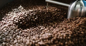 Lo que sobra: Subproductos del café como aditivos nutracéuticos y cosméticos