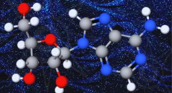 Adenosina como ingrediente cosmético